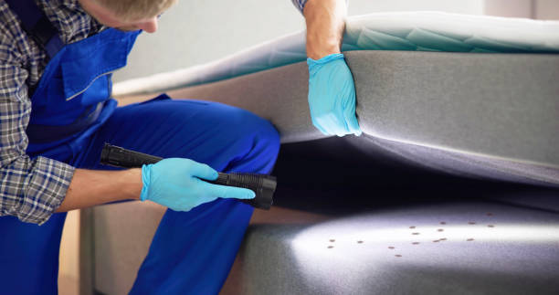 Best Wasp Removal Services  in Alpena, MI