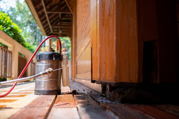 Best Best Pest Control Companies  in Alpena, MI