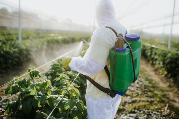 Best Termite Control Services  in Alpena, MI
